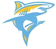 Long Island University logo