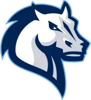 Mercy University logo