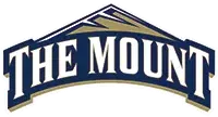 Mount St. Mary's University logo