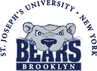 St. Joseph's University - Brooklyn logo