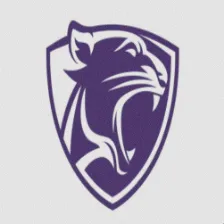Albany Leadership High School logo