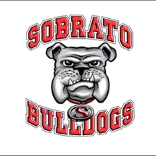 Ann Sobrato High School logo