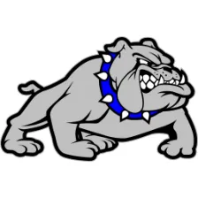 Bald Knob High School logo