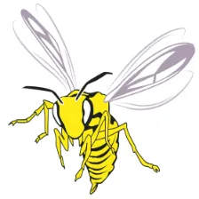 Blake High School logo