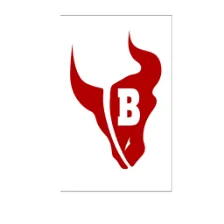 Bloomingdale High School logo
