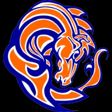 Boyd Christian High School logo