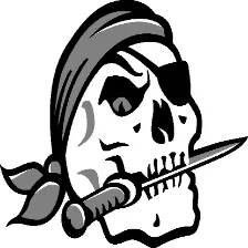 Braden River High School logo