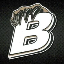 Bradley Central High School logo