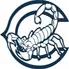 Camarillo High School logo