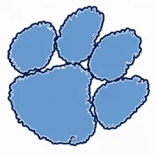 Camden County High School logo