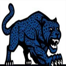 Canyon View High School logo