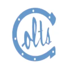Carson High School logo