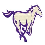Central Arkansas Christian High School logo