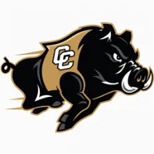 Colquitt County High School logo