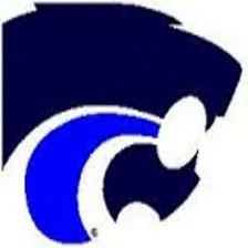 Depew High School logo