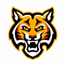 Dooly County High School logo