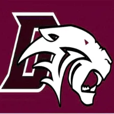 Dunkirk High School logo