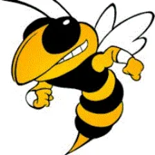 Fairview High School logo