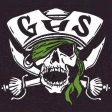 Gulf High School logo