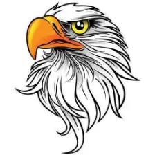 Hancock High School logo