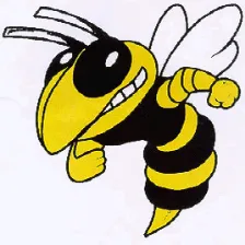 Hinsdale South High School logo