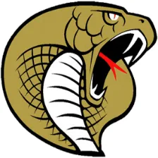 Hudson High School logo