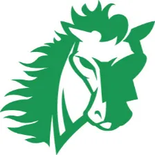 Intrinsic Charter logo