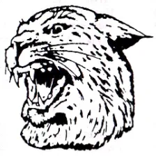 Johnson City High School logo
