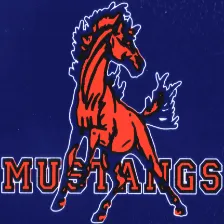 Kalaheo High School logo