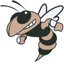 McAdory High School logo