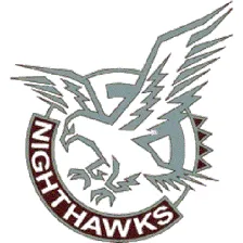 Natomas High School logo