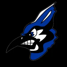 Nevada High School logo