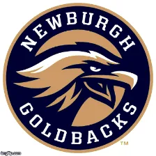 Newburgh Free Academy logo