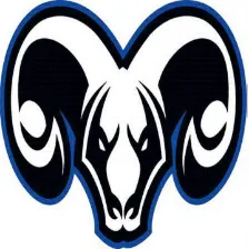 Newton High School logo