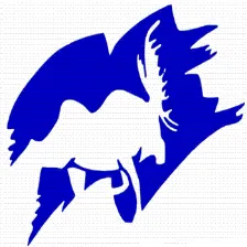 Palmer High School logo
