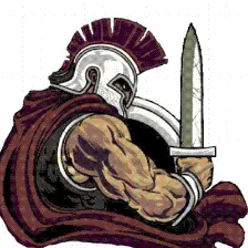 Patriot High School logo