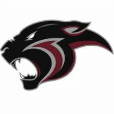 Peachtree Academy logo