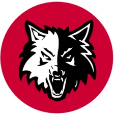 Perspectives-IIT/Joslin High School logo