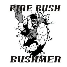Pine Bush High School logo
