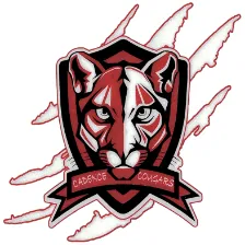 Pinecrest Academy Cadence logo