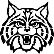 Plainfield Central High School logo