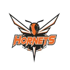 Plattsburgh High School logo