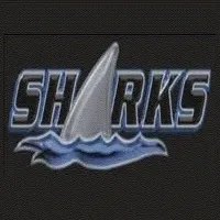 Riverview High School logo