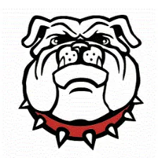 San Rafael High School logo
