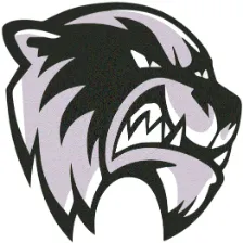 Skyview High School logo