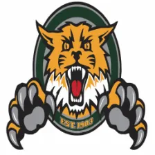 Sonora High School logo