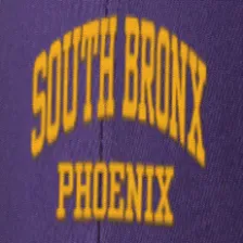 South Bronx High School logo