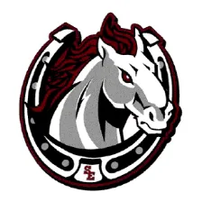 South Effingham High School logo