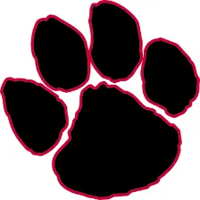 South Mecklenburg High School logo