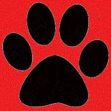 South Park High School logo